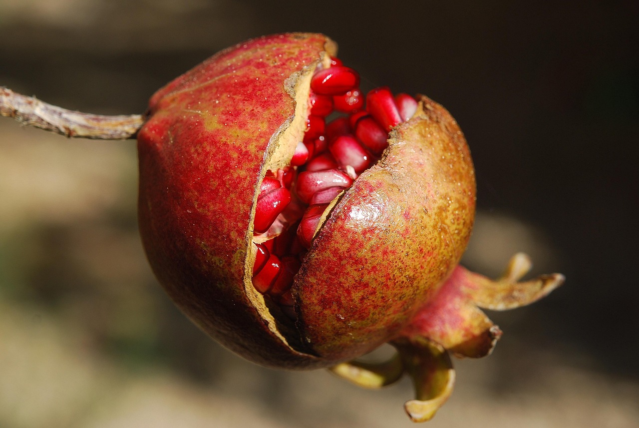 Können Superfoods wirklich beim Abnehmen helfen?