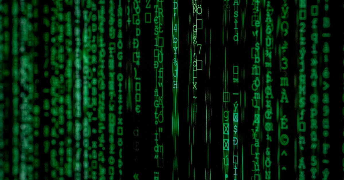 Digitalisierung der Kulturen: Ein Blick in die Zukunft
