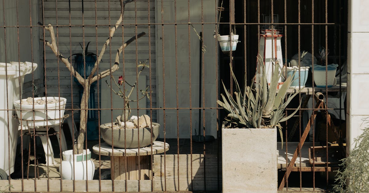 Lifestyle im Grünen: Urban Gardening für deine Wohnung